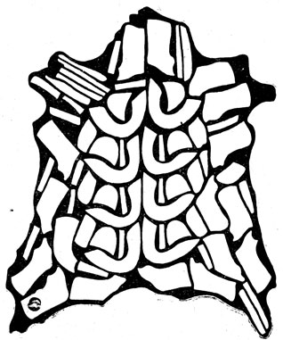Рис. II.32. Схема раскроя цветного шевро на детали женских модельных туфель с отрезными союзниками