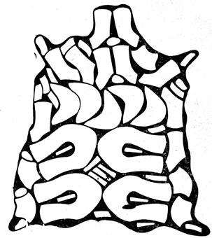 Рис. II.33. Схема раскроя шевро II сорта на детали женских цельных туфель 'лодочка' с обтяжкой для каблука в комбинации с деталями школьных (для девочек) туфель