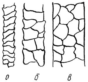 Рис. 7. Типы строения чешуйчатого слоя волоса: а - кольцевидный; б - некольцевидный; в - мостовидный